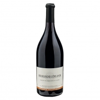 Rượu vang đỏ Pháp Bourgogne Côte d'Or Domaine Tollot Beaut