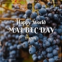 CHÀO MỪNG NGÀY QUỐC TẾ NHO MALBEC  – 17/04